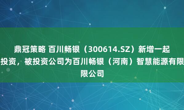 鼎冠策略 百川畅银（300614.SZ）新增一起对外投资，被投资公司为百川畅银（河南）智慧能源有限公司